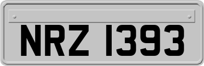 NRZ1393