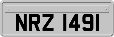 NRZ1491