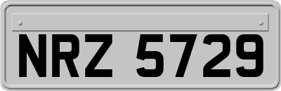 NRZ5729