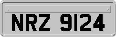 NRZ9124