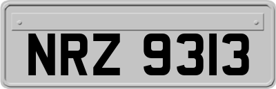 NRZ9313