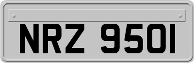 NRZ9501