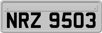 NRZ9503