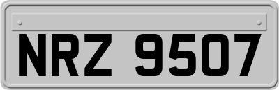 NRZ9507