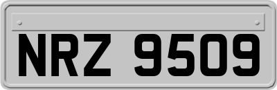 NRZ9509