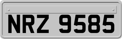 NRZ9585