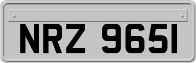 NRZ9651