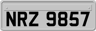 NRZ9857