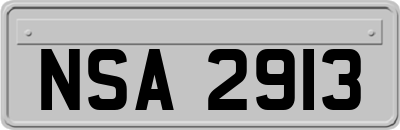 NSA2913