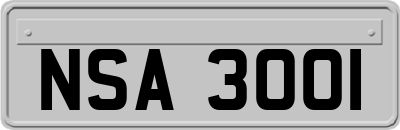 NSA3001