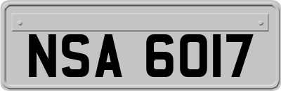 NSA6017