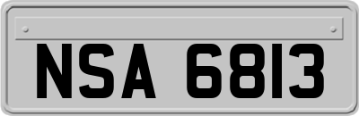 NSA6813