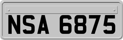 NSA6875