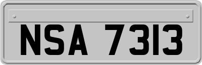 NSA7313