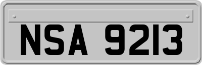 NSA9213