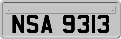 NSA9313