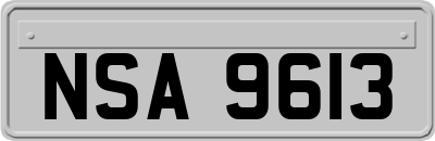 NSA9613