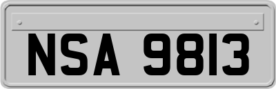 NSA9813