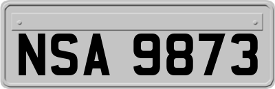 NSA9873