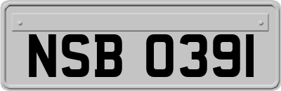 NSB0391