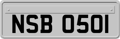 NSB0501