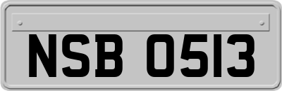 NSB0513