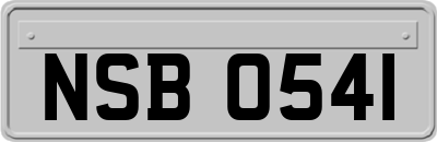 NSB0541