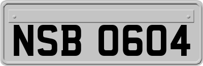 NSB0604