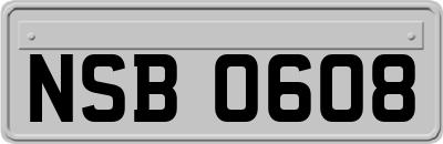 NSB0608