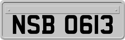 NSB0613