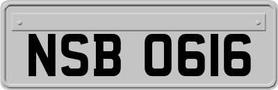 NSB0616