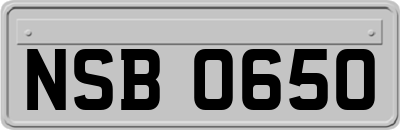 NSB0650