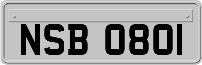 NSB0801