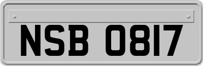 NSB0817