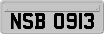 NSB0913