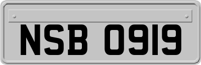 NSB0919