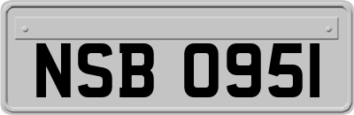 NSB0951