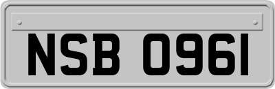 NSB0961