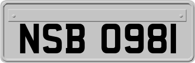 NSB0981