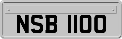 NSB1100