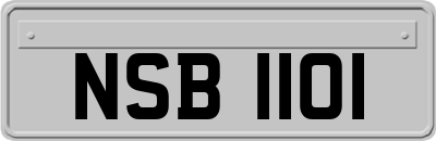 NSB1101