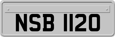 NSB1120