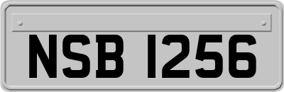 NSB1256