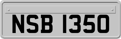 NSB1350