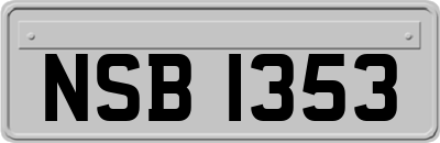 NSB1353