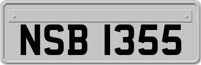 NSB1355