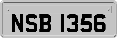 NSB1356