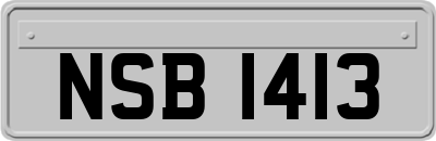 NSB1413