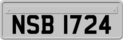 NSB1724