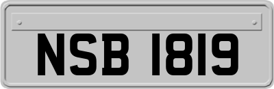 NSB1819